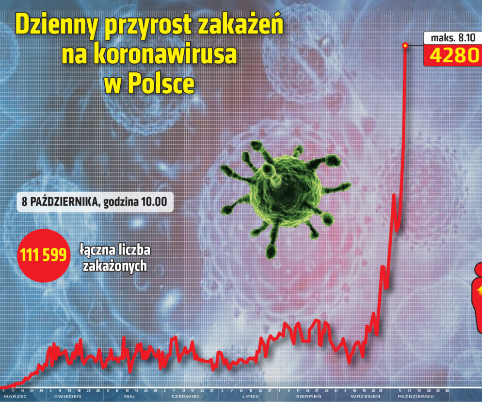 Koronawirus w Polsce. Rozwój pandemii w Polsce