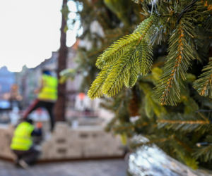Trwa montaż choinki i świątecznych iluminacji