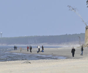 Prawdziwe paparazzi Rozenków nad morzem