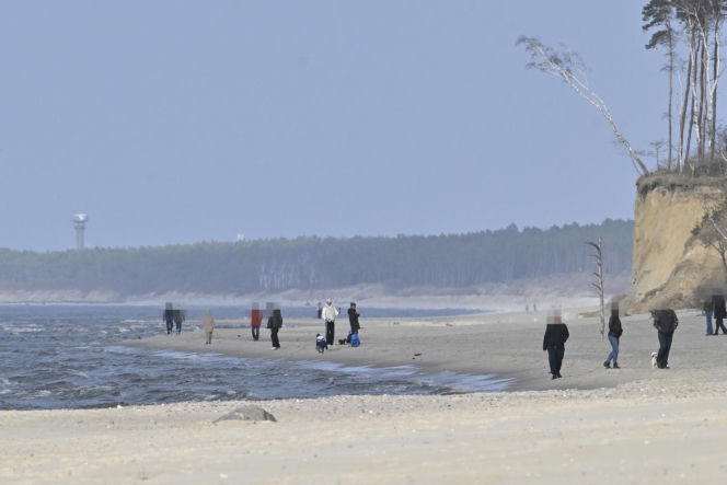Prawdziwe paparazzi Rozenków nad morzem