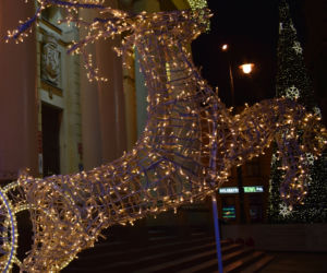 Lublin: Świąteczne iluminacje już wkrótce w centrum miasta. Znamy datę!
