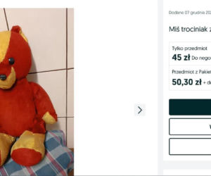 W PRL-u każde dziecko marzyło, aby znaleźć to pod choinką. Dziś za tę zabawkę można dostać krocie