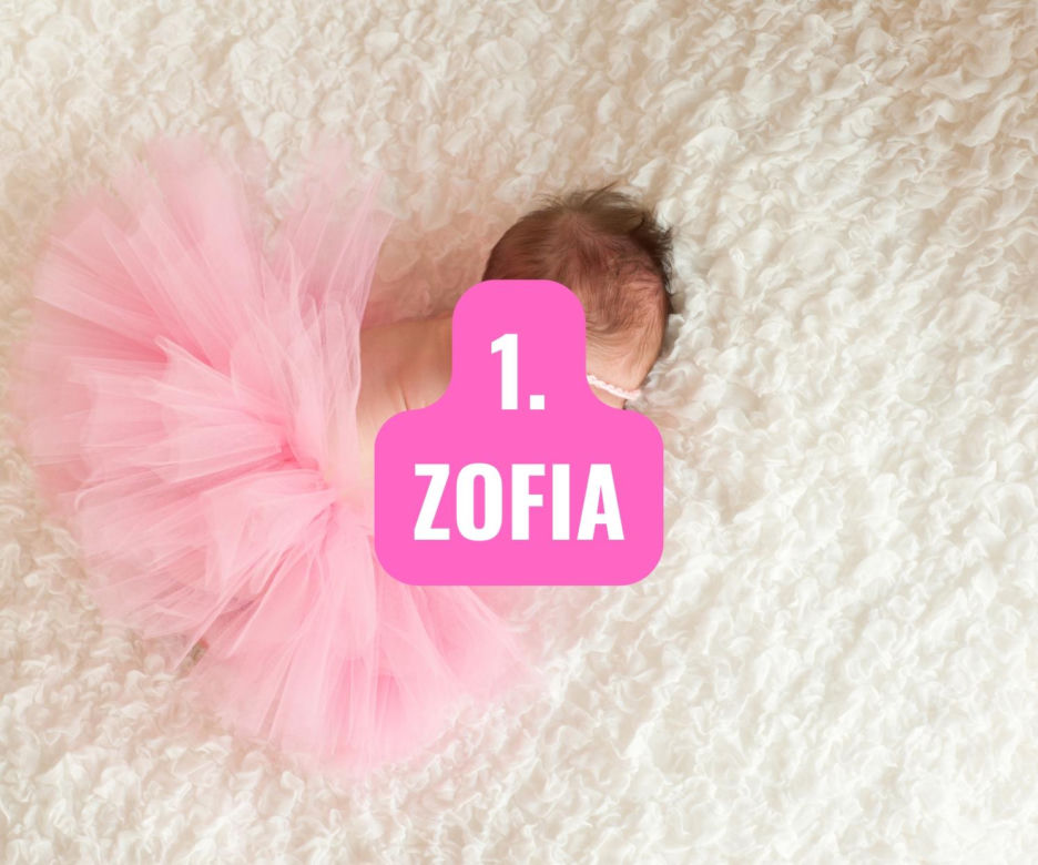 1. Zofia