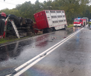 Śmiertelny wypadek na DK15. Nie żyją dwie osoby [ZDJĘCIA]