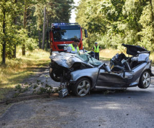 Młodzi ludzie rozstrzaskali się w lesie