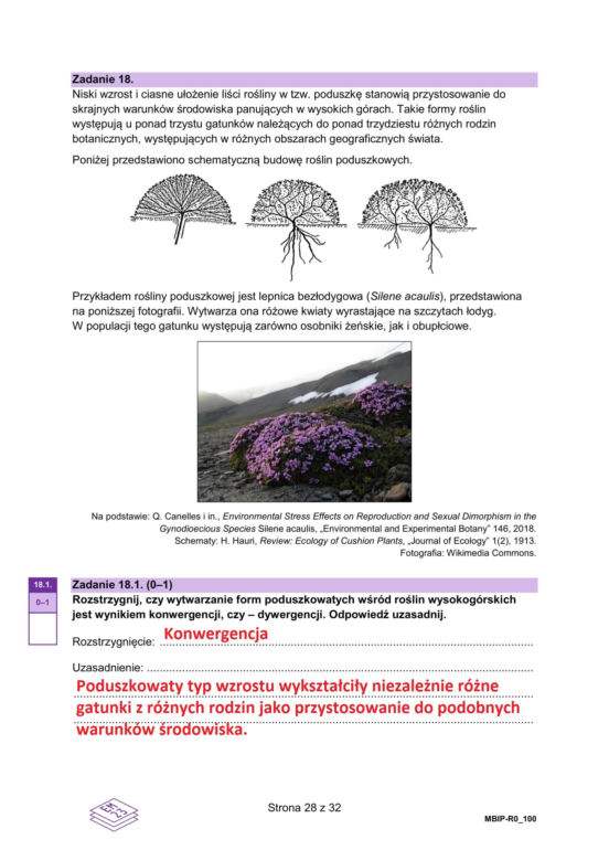 Matura 2025 biologia rozszerzona: ODPOWIEDZI do wszystkich zadań, gotowe rozwiązania matury z biologii rozszerzonej [9.05.2025]	