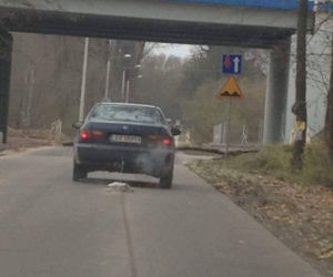 Przywiązał psa do samochodu i ciągnął przez 2 km