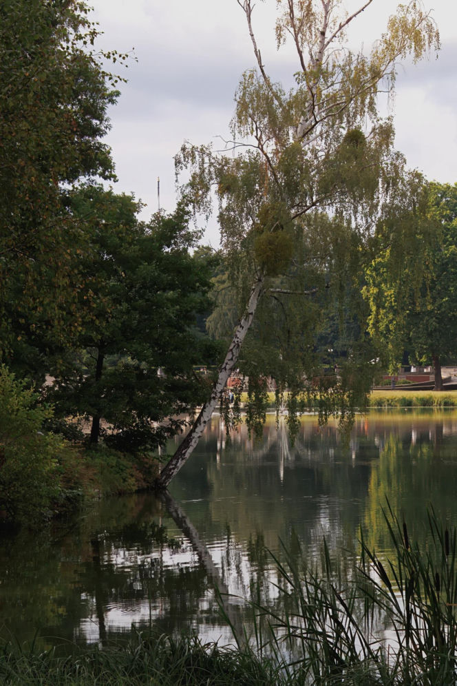 Oto najnudniejsza atrakcja turystyczna w województwie śląskim. Spacer i długo, długo nic