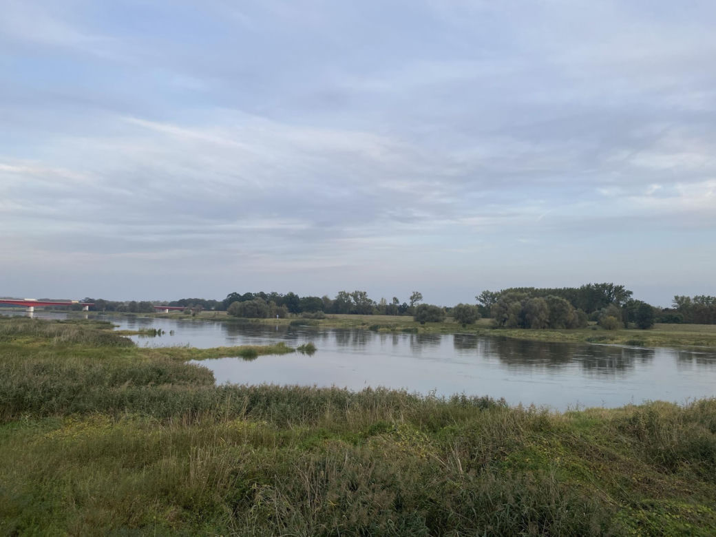 Rzeka Odra w Cigacicach