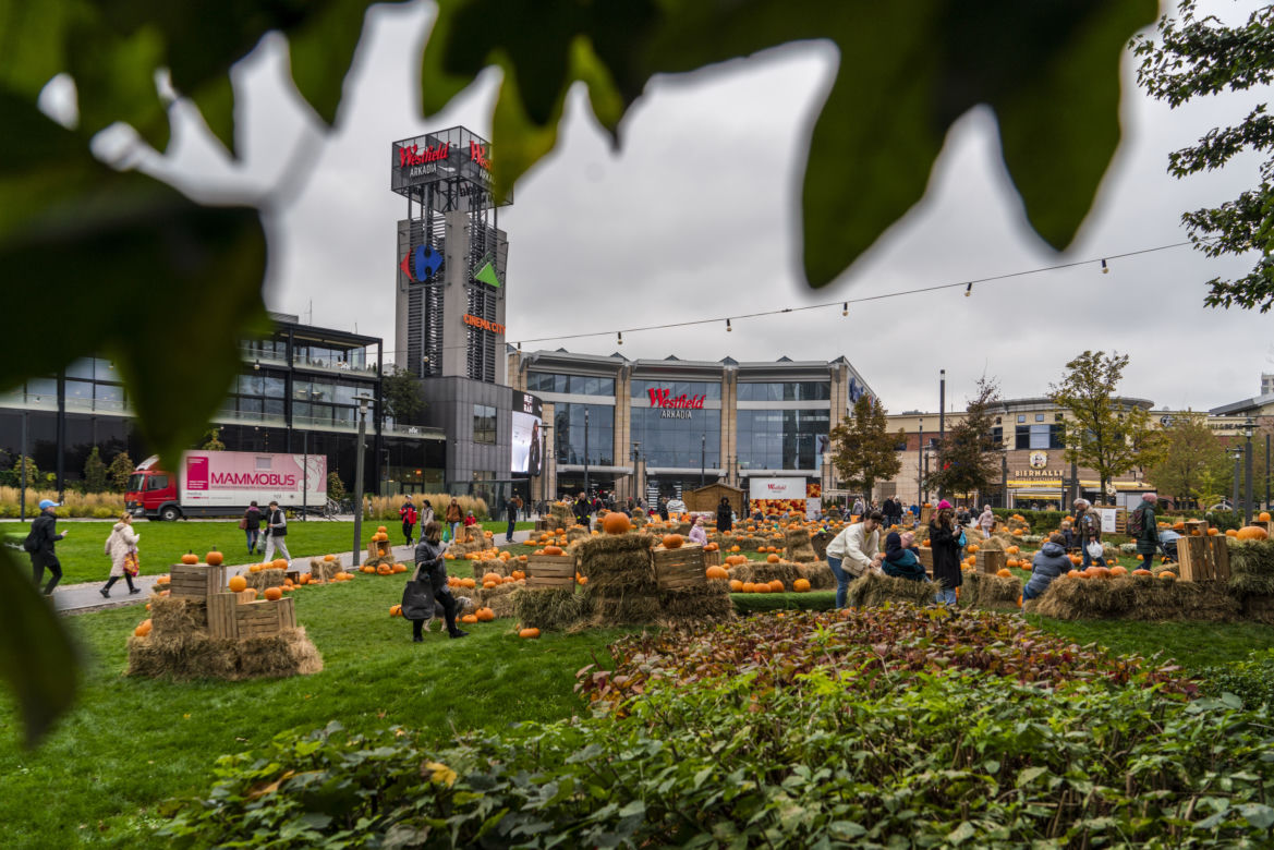 Farma Dyniowa przed galerią handlową Westfield Arkadia