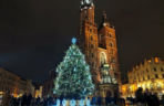 Choinka w Krakowie