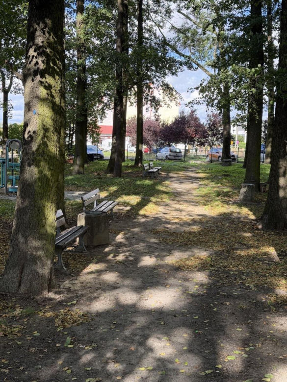 Na Gronowie powstanie park z podwieszaną kładką