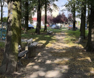 Na Gronowie powstanie park z podwieszaną kładką