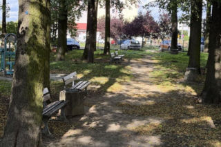 Na Gronowie powstanie park z podwieszaną kładką