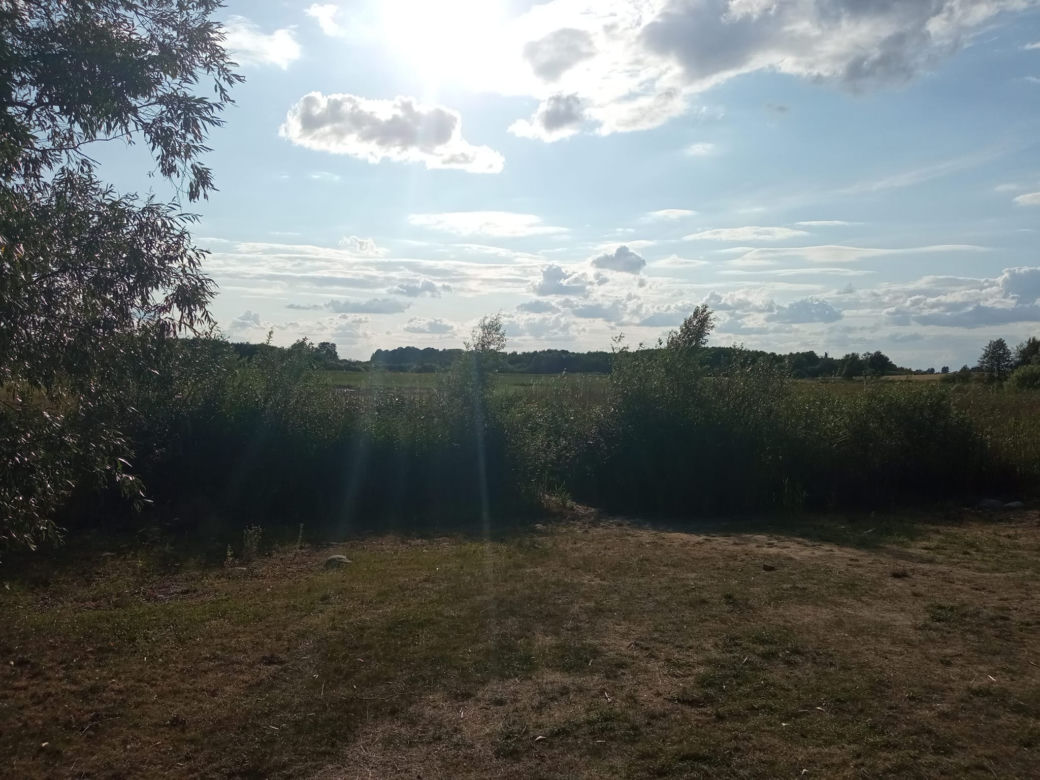Wyschnięte jezioro w Skrzatuszu pod Piłą po miesiącu