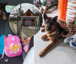 Najpierw odebranie, potem cisza. Gdzie jest pies rodziny z Podgórza?