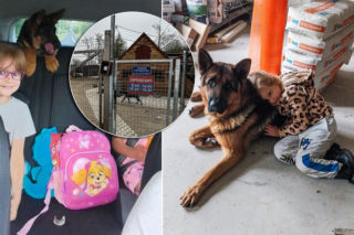 Najpierw odebranie, potem cisza. Gdzie jest pies rodziny z Podgórza?