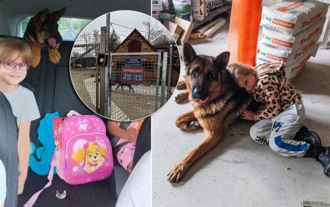 Najpierw odebranie, potem cisza. Gdzie jest pies rodziny z Podgórza?