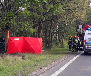 Uderzył w drzewo, a jego auto przełamało się na pół.