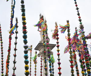 35 metrów i 80 centymetrów liczy palma, która zwyciężyła tegoroczny konkurs palm w Lipnicy Murowanej