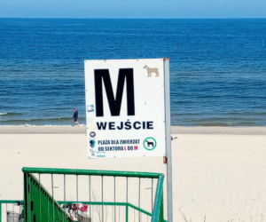 Rowerzyści kontra naturyści. Słynna naga plaża przestanie istnieć?