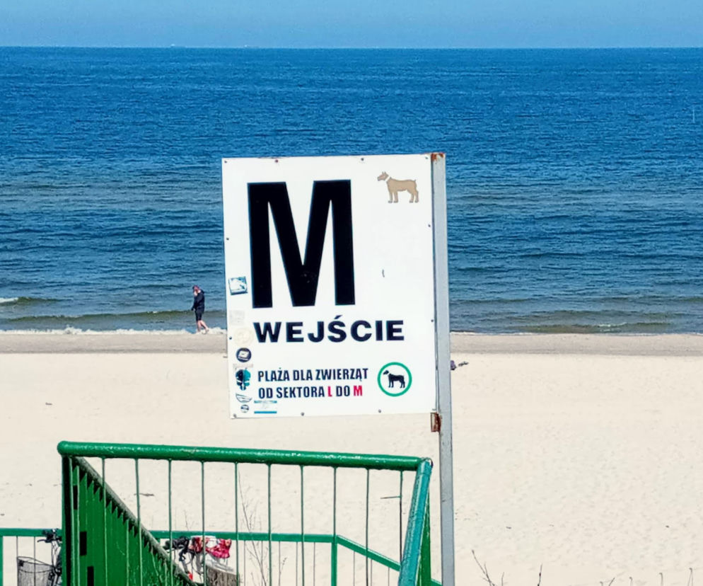 Rowerzyści kontra naturyści. Słynna naga plaża przestanie istnieć?