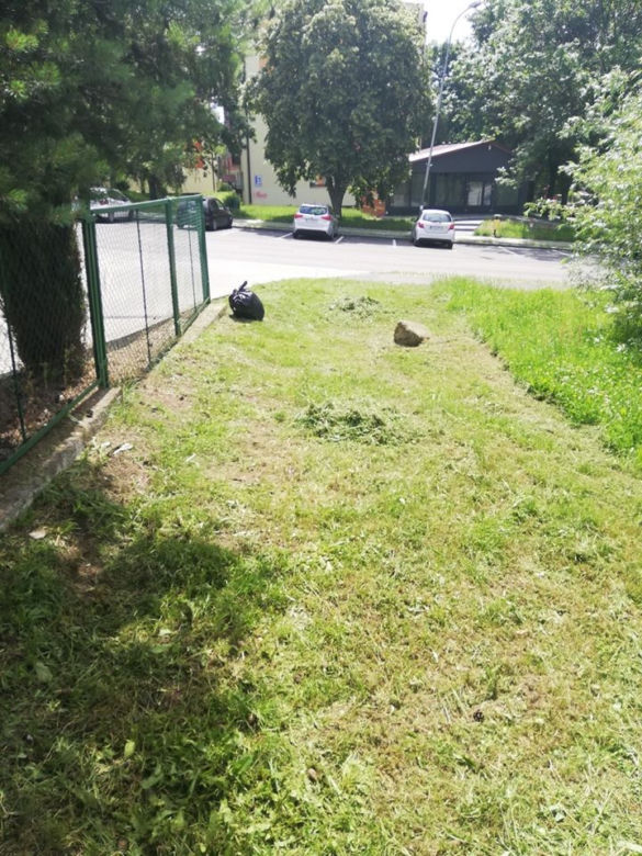 Starachowiczanie w czynie społecznym sprzątają miasto/ZEC MZK