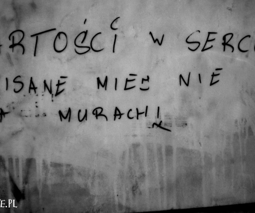 Napisy na murach były, są i będą. Wandalizm czy sztuka? Co byście nie mówili... ulica wie swoje!