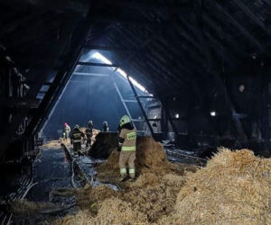 Perzyny. 40 tys. kurcząt zginęło w WIELKIM POŻARZE! Ogień naruszył konstrukcję budynku [ZDJĘCIA]