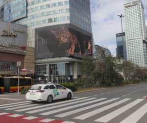 Kot na ekranie reklamowym LED Warsaw STAGE na wieżowcu Skylight