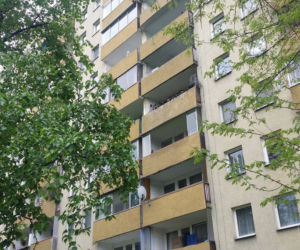 Przerażające odkrycie w Krakowie: Padłe gołębie i metrowa warstwa ptasich odchodów na balkonie [AUDIO, ZDJĘCIA]