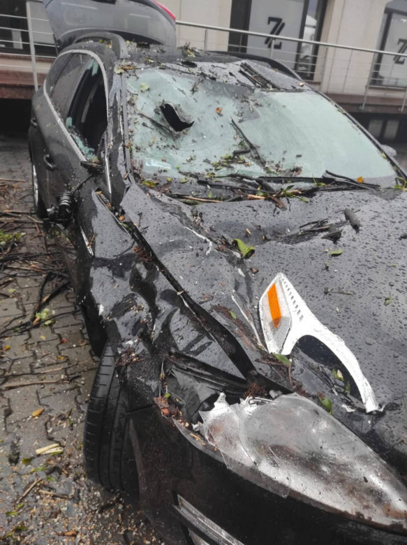 Drzewo spadło na samochód