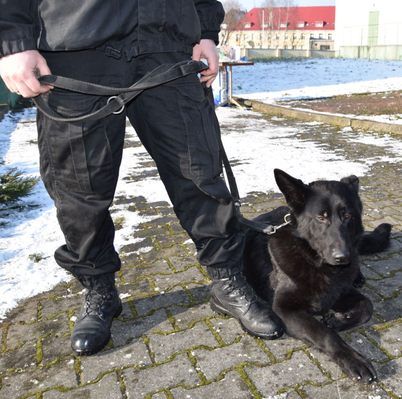 Po latach służby Brutus przeszedł na zasłużoną emeryturę