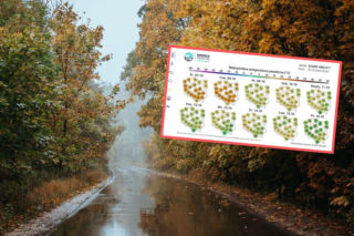 Załamanie pogody jest tuż za rogiem! Zapomnijcie o letnich warunkach
