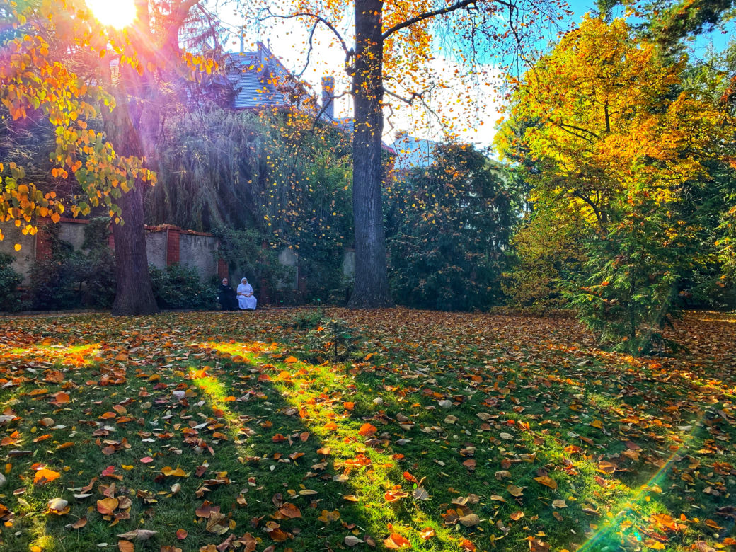 Jesień w ogrodzie botanicznym we Wrocławiu