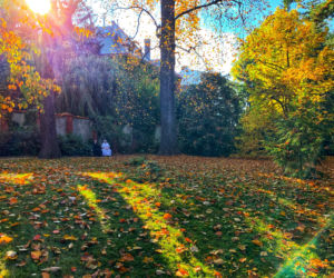 Jesień w ogrodzie botanicznym we Wrocławiu