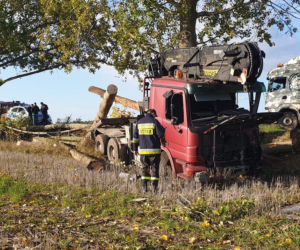 Olbrzymie kłody zablokowały drogę wojewódzką 163