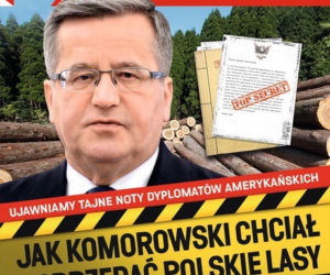WSieci: Komorowski i Lasy Państwowe