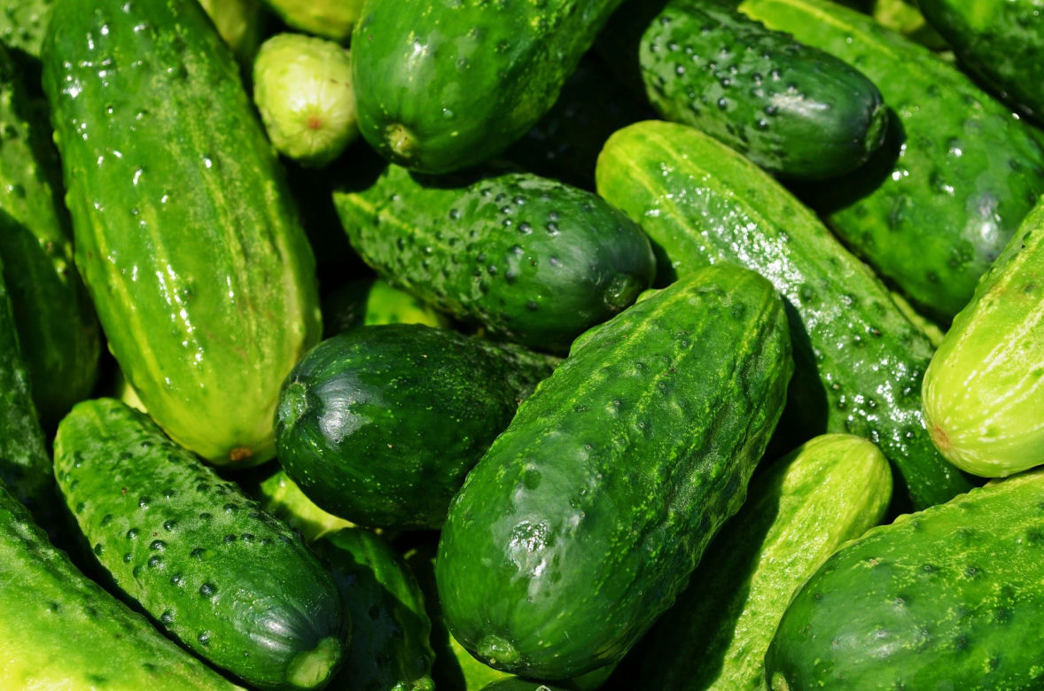 OGÓRKI