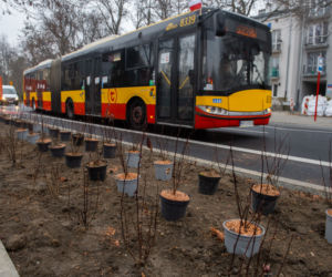 Zielona Saska Kępa