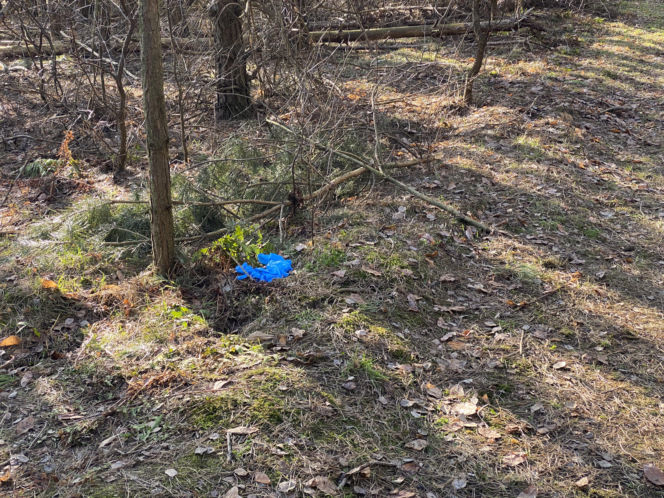 Śmierć Magdy Majtyki budzi pytania. Znana detektyw komentuje działania służb