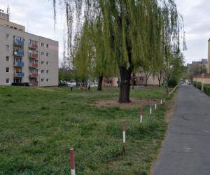 Koronawirus. Czy przestrzegamy zasad w przestrzeni publicznej?