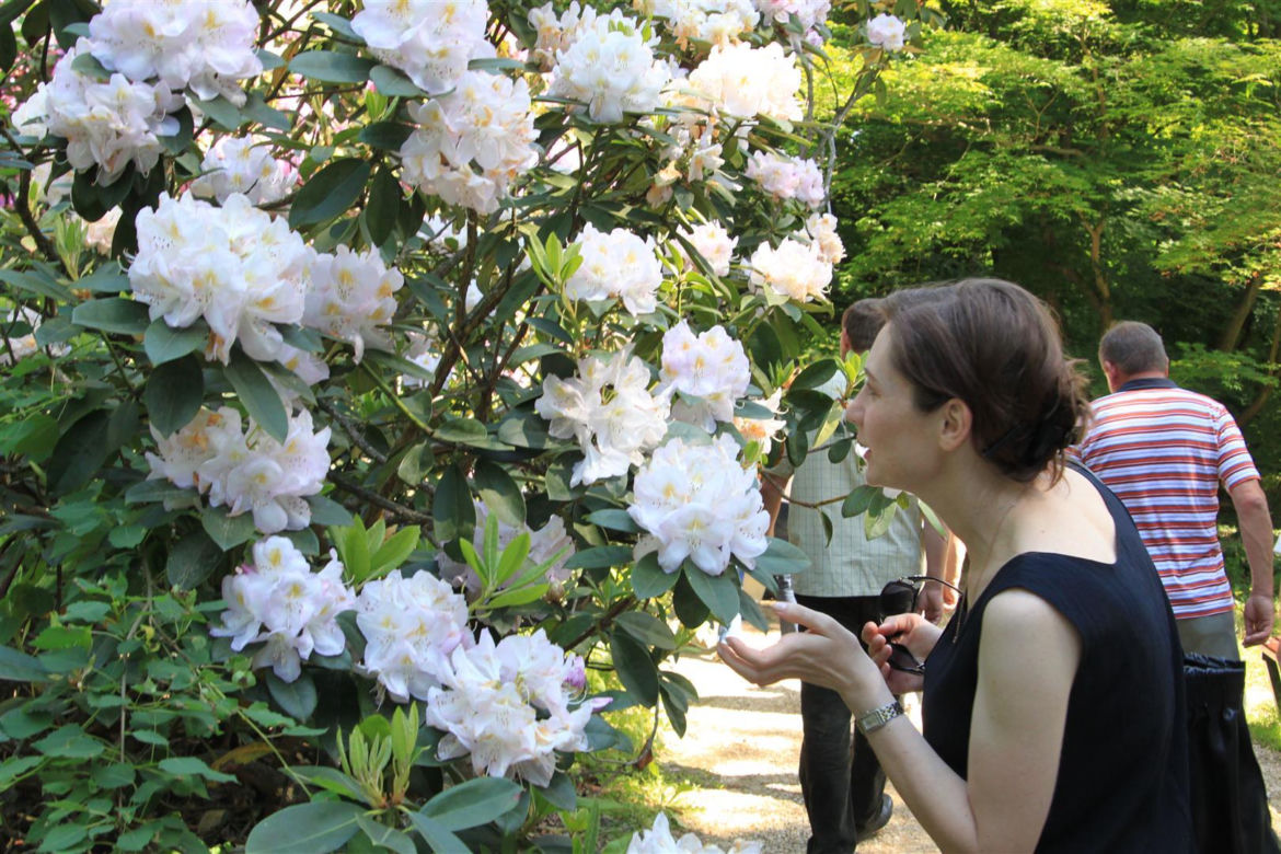 Arboretum w Rogowie