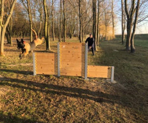 Policyjny pies wywęszył narkotyki