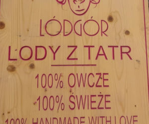 Lody z owczego mleka w Nowym Targu