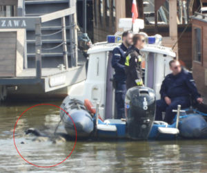 Akcja służb w centrum Warszawy. W Wiśle dryfowało ciało