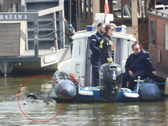 Akcja służb w centrum Warszawy. W Wiśle dryfowało ciało
