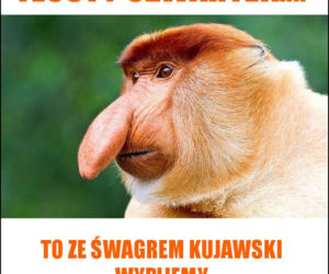 Memy na Tłusty Czwartek 2020. Śmieszne obrazki i gify na Tłusty Czwartek 20 lutego 2020