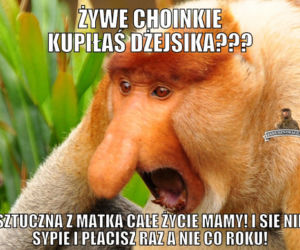 Choinka memy