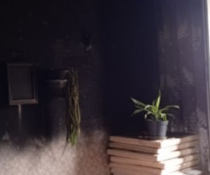 Pożar strawił dorobek ich życia. Nie ocalał nawet widelec